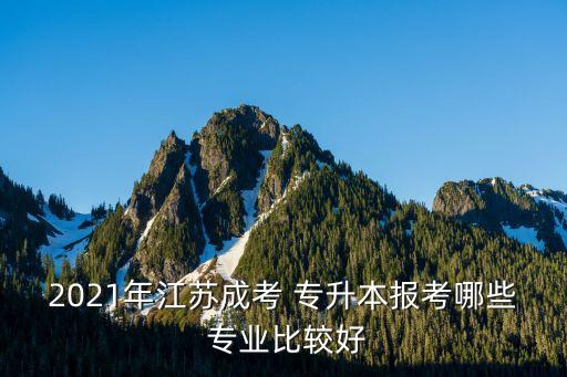 2021年江蘇成考 專升本報考哪些 專業(yè)比較好