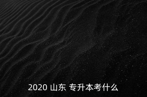 2020 山東 專升本考什么