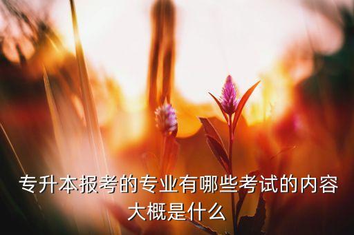  專升本報(bào)考的專業(yè)有哪些考試的內(nèi)容大概是什么