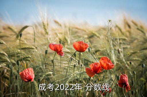  成考2022年 分?jǐn)?shù)線