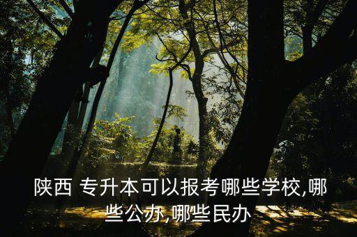  陜西 專(zhuān)升本可以報(bào)考哪些學(xué)校,哪些公辦,哪些民辦