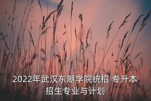 2022年武漢東湖學院統(tǒng)招 專升本招生專業(yè)與計劃