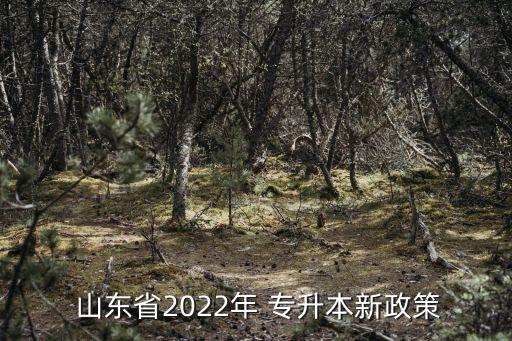  山東省2022年 專升本新政策