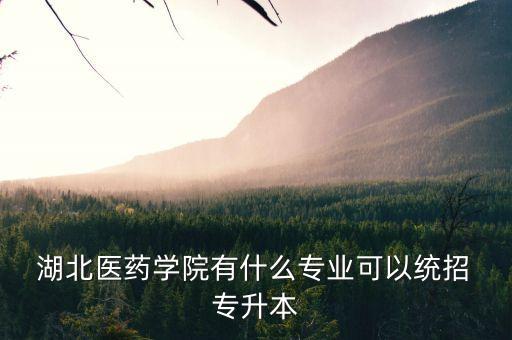  湖北醫(yī)藥學(xué)院有什么專業(yè)可以統(tǒng)招 專升本