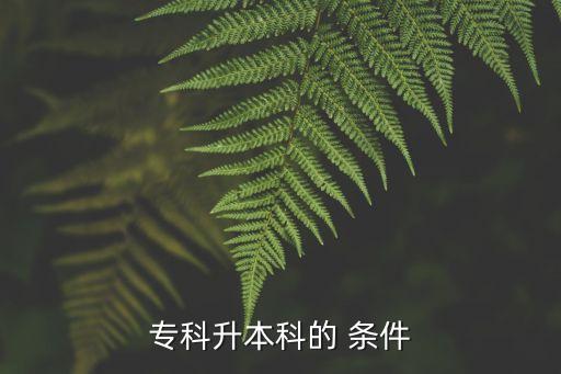 專科升本科的 條件