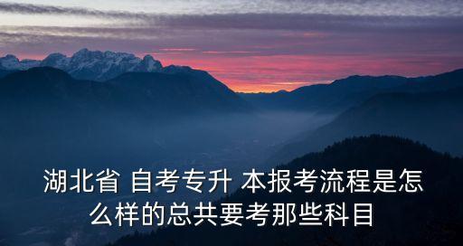  湖北省 自考專升 本報(bào)考流程是怎么樣的總共要考那些科目