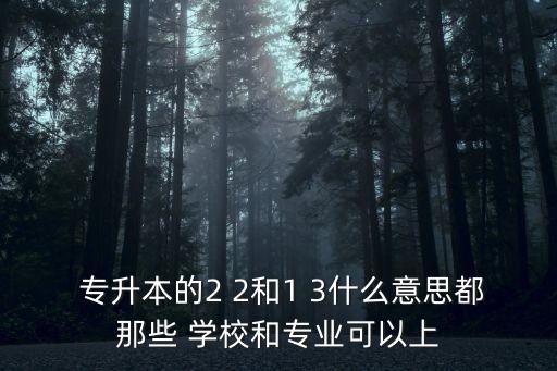  專升本的2 2和1 3什么意思都那些 學(xué)校和專業(yè)可以上