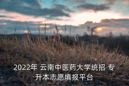 2022年 云南中醫(yī)藥大學(xué)統(tǒng)招 專升本志愿填報(bào)平臺