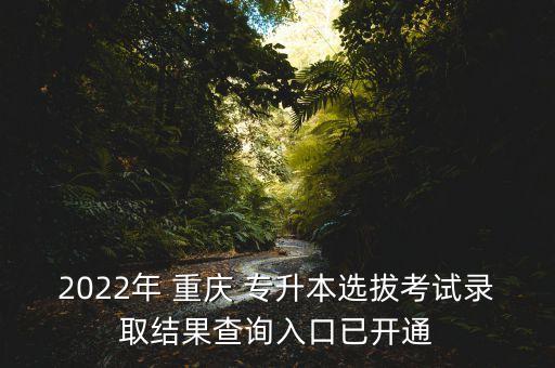 重慶專升本的招考信息網(wǎng),2022重慶招考信息網(wǎng)