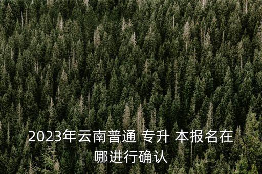 2023年云南普通 專(zhuān)升 本報(bào)名在哪進(jìn)行確認(rèn)