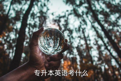  專升本英語考什么