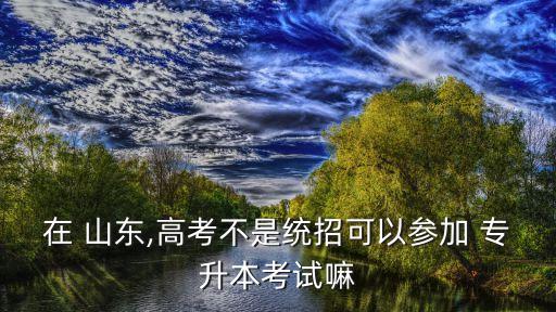 山東專升本學(xué)校能自主招生嗎