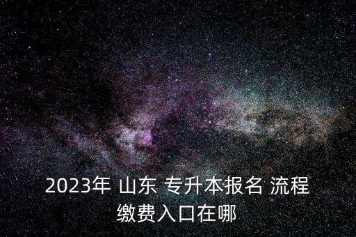 2023年 山東 專升本報名 流程繳費(fèi)入口在哪