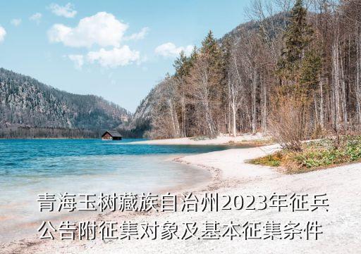  青海玉樹藏族自治州2023年征兵公告附征集對象及基本征集條件