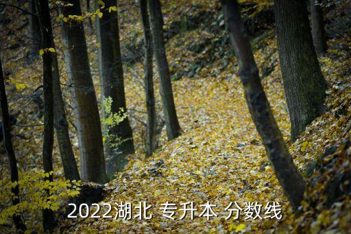 2022湖北 專升本 分?jǐn)?shù)線