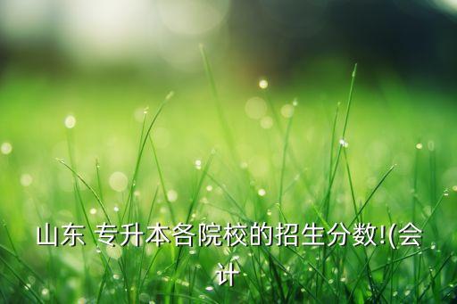 山東 專升本各院校的招生分數(shù)!(會計