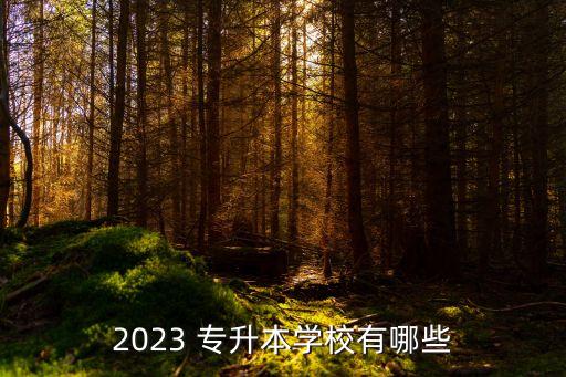 2023 專升本學(xué)校有哪些