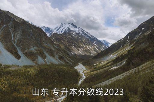  山東 專升本分數(shù)線2023