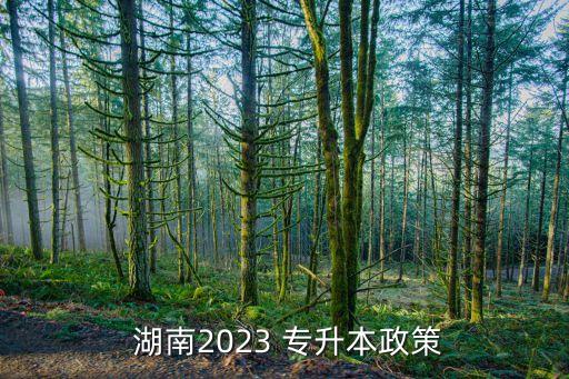  湖南2023 專升本政策