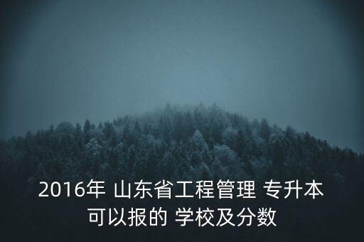 2016年 山東省工程管理 專升本可以報的 學(xué)校及分數(shù)