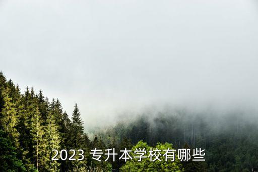 2023 專升本學校有哪些