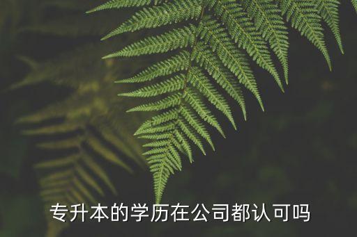  專升本的學(xué)歷在公司都認(rèn)可嗎