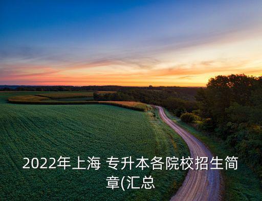 2022年上海 專升本各院校招生簡章(匯總