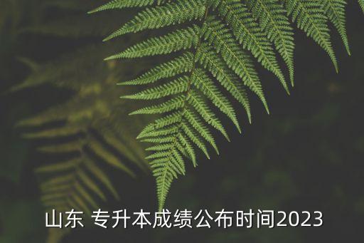  山東 專升本成績公布時間2023