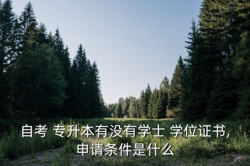 自考 專升本有沒有學(xué)士 學(xué)位證書,申請(qǐng)條件是什么