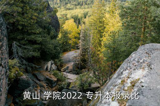  黃山 學(xué)院2022 專升本報(bào)錄比