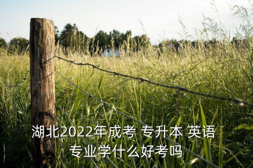 湖北2022年成考 專升本 英語(yǔ) 專業(yè)學(xué)什么好考嗎