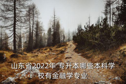 山東省2022年 專升本哪些本科學校有金融學專業(yè)