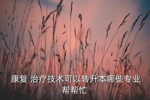  康復(fù) 治療技術(shù)可以轉(zhuǎn)升本哪些專(zhuān)業(yè)幫幫忙