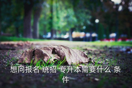 想問報名 統(tǒng)招 專升本需要什么 條件