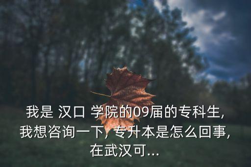 漢口學院專升本好考嗎