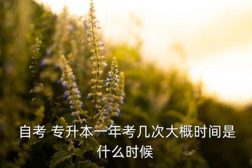 專升本自考本科時間,自考本科和學(xué)校專升本哪個好