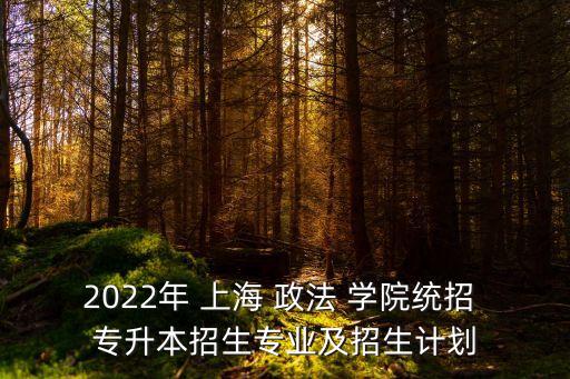 2022年 上海 政法 學(xué)院統(tǒng)招 專升本招生專業(yè)及招生計(jì)劃