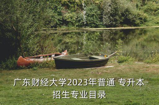 廣東財經大學2023年普通 專升本招生專業(yè)目錄