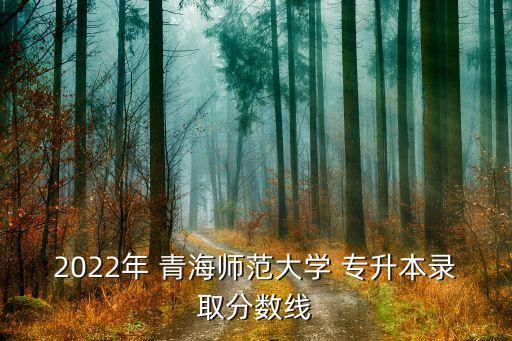 2022年 青海師范大學 專升本錄取分數(shù)線