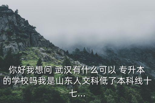 你好我想問 武漢有什么可以 專升本的學(xué)校嗎我是山東人文科低了本科線十七...