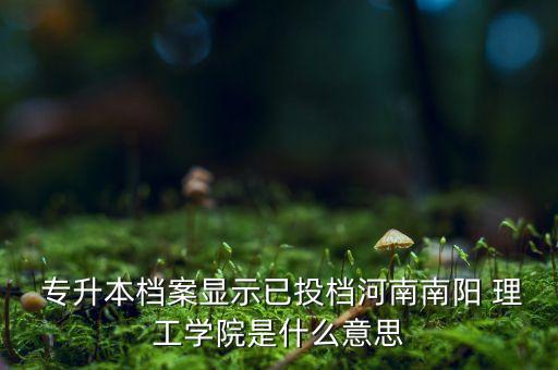  專升本檔案顯示已投檔河南南陽(yáng) 理工學(xué)院是什么意思