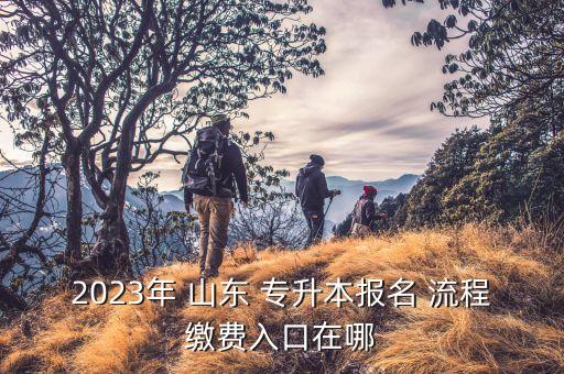 2023年 山東 專升本報名 流程繳費入口在哪