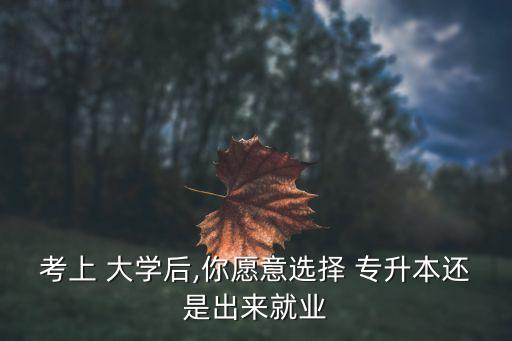 考上 大學(xué)后,你愿意選擇 專升本還是出來就業(yè)