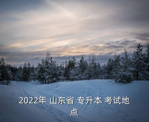 2022年 山東省 專升本 考試地點