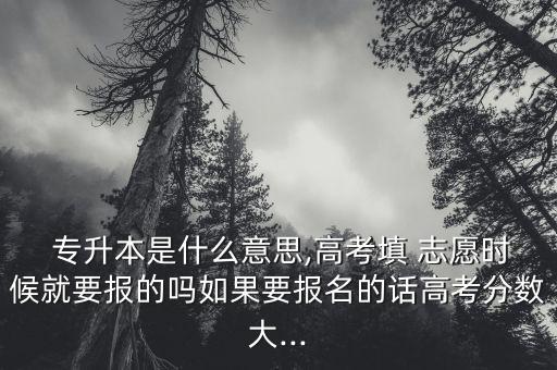 專升本志愿什么意思,河南專升本征集志愿是什么意思