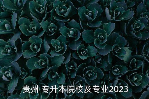  貴州 專(zhuān)升本院校及專(zhuān)業(yè)2023