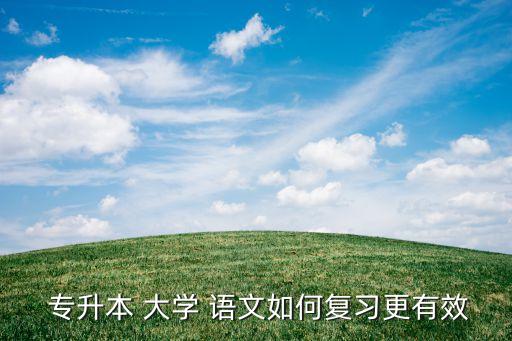 專升本大學(xué)語文考試重點(diǎn)