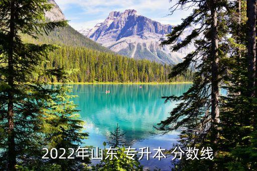 2022年山東 專升本 分?jǐn)?shù)線