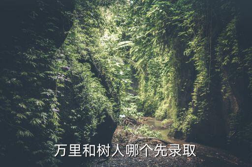 萬里和樹人哪個(gè)先錄取