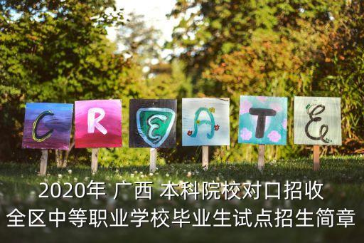 2020年 廣西 本科院校對口招收全區(qū)中等職業(yè)學(xué)校畢業(yè)生試點(diǎn)招生簡章